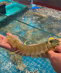 ȥ���������˾�����500�ĺ��ʴ�ͣ���ĺܰ���