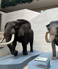 �ʺ��������޵ĺõط�