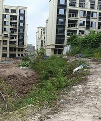 �ž�������Ÿ�ԭ������½ӷ�