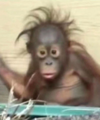 ������ֵ���򡿾����ֶ�Ͱ39����־������ţ���39