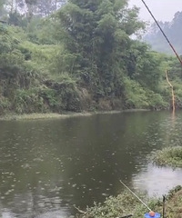 ���ܻ���Ұ�������ֲ�����Ҫ��