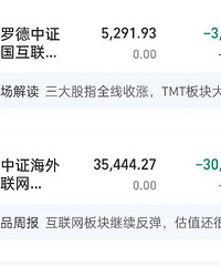 �ҵ����ƿ�������LV�ˣ�����������������