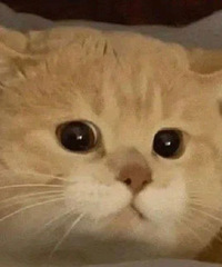 �������һǧ�����Ϻ��򷿻��Ǵ����У�