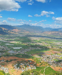 һö�Ȱ������93���ϰ��̣�����һ����ϡ�