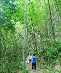 ����ͽ�������޷��裬���ֲ��Ѻ�