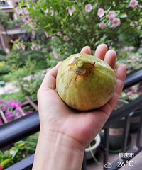 Ժӵ߹ˣǿҰ޻óֺû