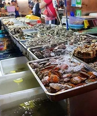 �����׿�Ϊ���Ž�������