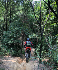 ������һ����ϲ������ӣ���������ɽ��ԽҰ��̩������