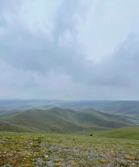 ���£�������ѩ��