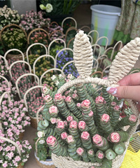 92��160CM��˫�����������飬ϣ���Է����δ��δ��