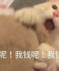 ���������������Ǹ��ˣ�һ��20�򼶱��SUV��һ��20��Ľγ�