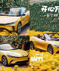 以后轿跑敞篷,10万出头就能买到了吧