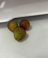 ����ҿ������ǹ�˾���Ķ���ڸ�����˭���˶�Ҫҡͷ