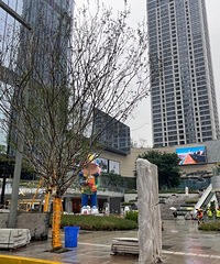 ���������2��18�ſ�ҵ�������죬���½���ʵ��