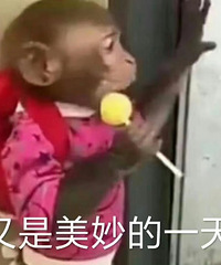 ������ֵ����������ʺ����Ь26.99