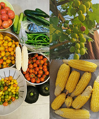 ֲС֣¶̨Բʱڣժһ