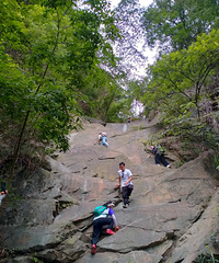 ������ս����ɽ���ڱڣ�ɽ����Ұȷʵ�Ե�������֪������������·