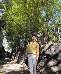 93��155CM�Ĳ����������飬ϣ���Է�������168����