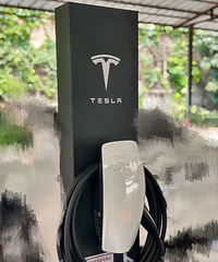 ��һ���װ����˹���ĳ��׮���ھ�˵��Ҫ����磬ÿ���¸��ҵ��