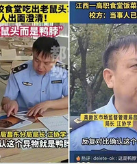 ���ϵ������϶���������������ͷ��Ѽ�����ڡ���ԩ��ѩ��