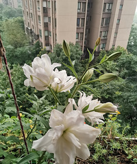 87年的设备工程师征婚,不抽烟不喝酒不打麻将