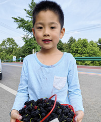 ���ֵܺ�#��Ա���Ӻ�#����Ʒ����#����Ͷ���#�������