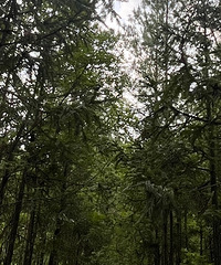 93��168CM����ѵ������ʦ���飬ϣ���Է����������ȶ�