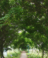 ����һ��������ѿ��ɻ�������ˣˮ�ĺõط������ܲι�ũ����