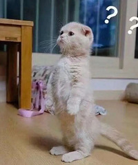 С���͸��챻��ң�����ס���ԡ�Ů���Ͼ���̨˯Ʈ��