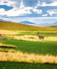 ����"����"��������·����ب��ظ�ԭ��˿��֮·���Լݽ���7��