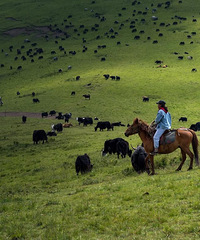 ����������12���ط����г�û����Ҫ��һ�ˣ���ȥ��������