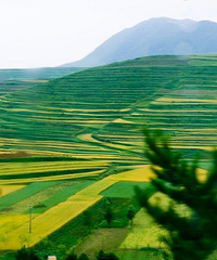 ����������12���ط����г�û����Ҫ��һ�ˣ���ȥ��������