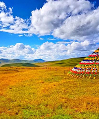 �������ǲ�ԭ���������Լ���ô���棿���·�ȥ��ã�