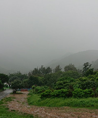 ɽ�������������Ȱ�