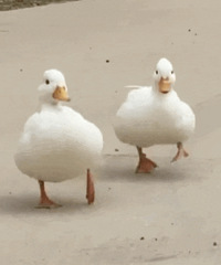 ������ֵ�����߶ȿռ䰲˯��10��19�������۵�ɡ69