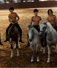 �������ţ�����������������