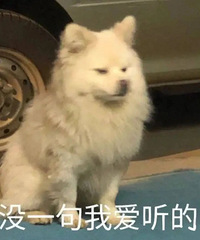 ͵�ĵ��Ϲ�����������Ƭ�����������ģ����Ҷ�����Ľ��