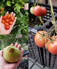 Ժ�ӵ��߹������ˣ��޻����ó��ֺû�