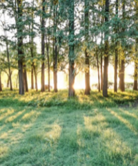 ���������������ȥ��(���ͽ��·��ƪ)