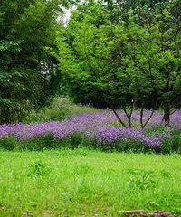 ����Ϫ�ĺɻ�Ҳ�ÿ�