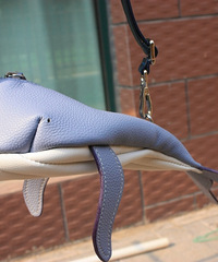 ԭ�����������죬�����Լ��ֹ��µģ���ҿ����ͺ�