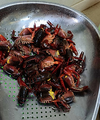 86��158CM��ˮƿ��С������飬ϣ���Է�����168����