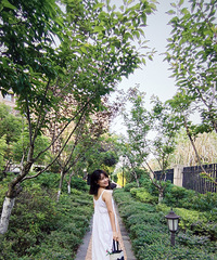 86���и����ӵĵ����������飬��ö��ʦ