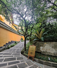 ������Ȫ������