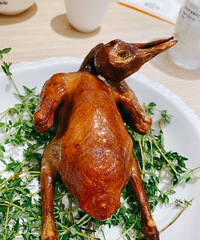 �����볬���㣬����������������ˮһֻ��