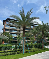 ���������������츮���ؿ����գ����������򼸷֣�