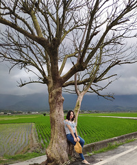 91��156CM�ĵز�С������飬ϣ���Է�86~92��