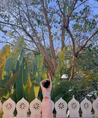 90��169CM��С������飬ϣ���Է�83~92��