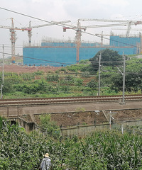 ��������ѧ���깤�ˣ�ʲôˮƽ�����������