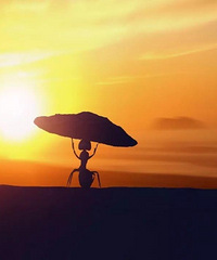 �ڰ���������־�����ǣ���Զ��Ҫ�����Գɹ���ִ��